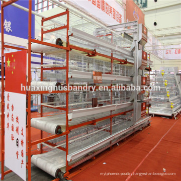 Hot sale product, cheap lowest price bird trap cage